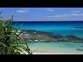 日本で一番美しい島々 奄美群島　PARADISE AMAMI　予告　"The most beautiful Islands in Japan"