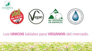 Labiales Ecological Time