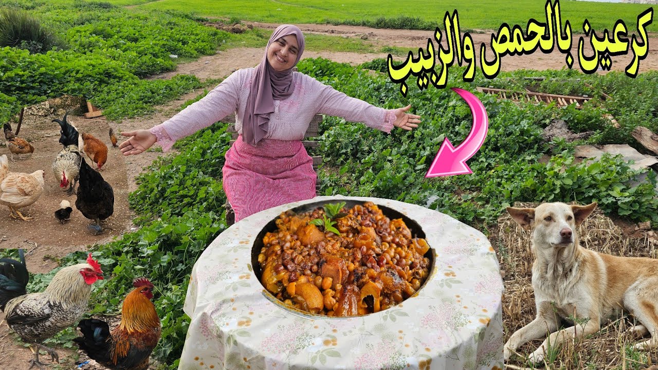 اجواء رائعة في البادية تحضير الكرعين معلكين بالحمص والزبيب مع سر اللذة والتعليكة👌🏻