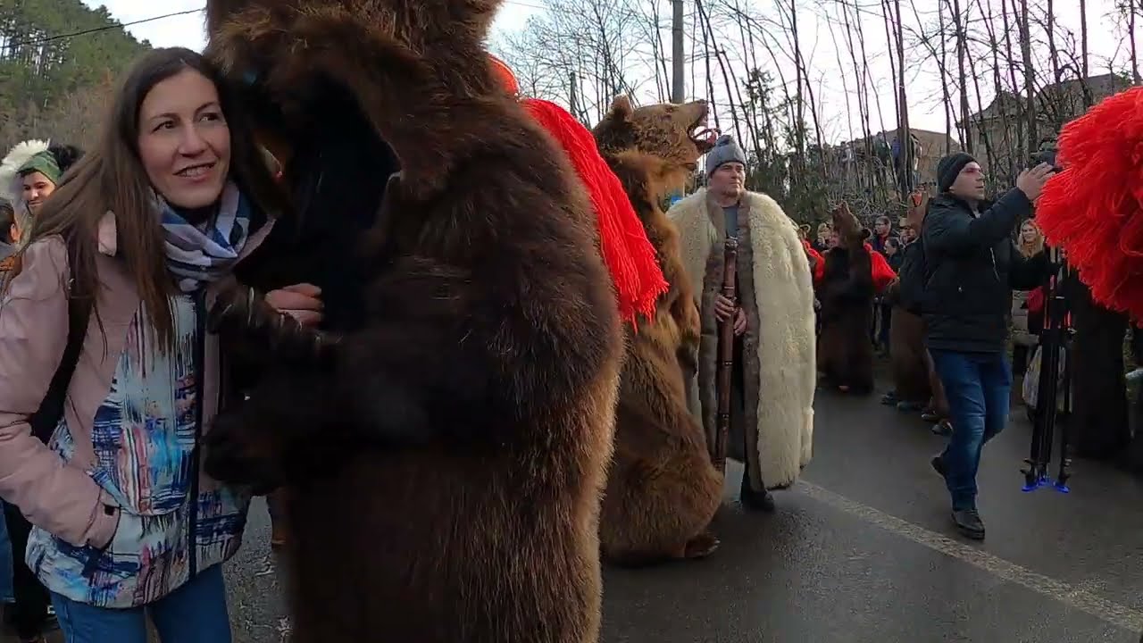 Dansul ursilor-Ceata Laloaia II