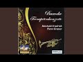 Miniature de la vidéo de la chanson Konzert Für Trompete Und Orchester Nr. 2 D-Moll: I. Allegro E Non Presto