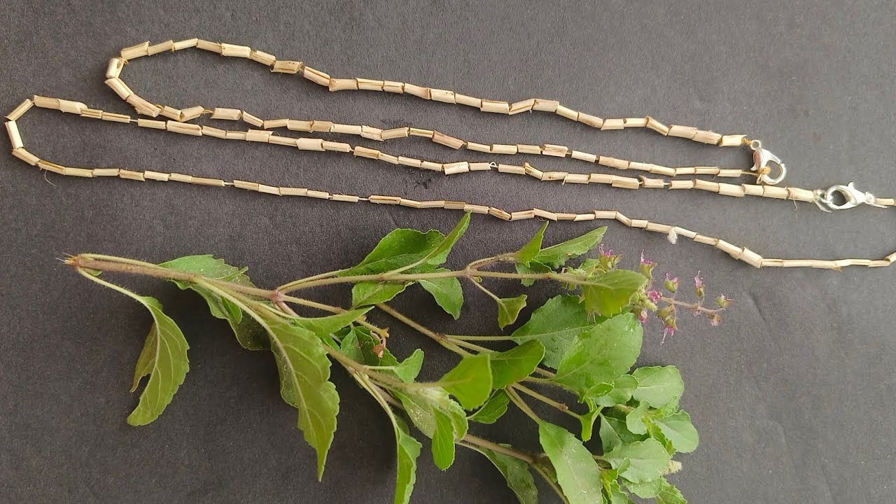 Pure Tulasi Mala / kanthi Mala/Bracelet#tulsi #ayurveda #holybasil #india #tulsiursynow #domaniewsk