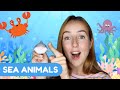 Ocean Animals Adventure Quiz