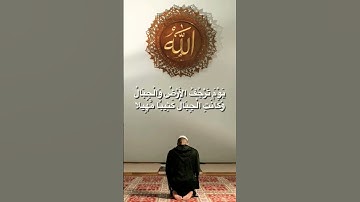 الراحة النفسية 💖تلاوة خاشعة بصوت جميل جدا ⚘️حالات واتس اب دينية مؤثرة