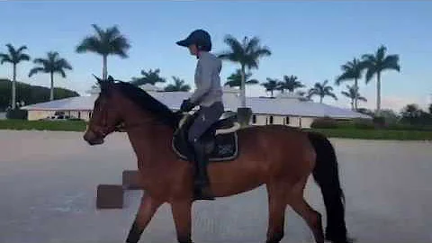 The Madden Method - Beezie teaches a lesson