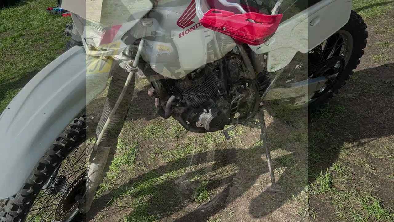 Motorcycles for sale at Netley Marsh 2025# Eurojumble