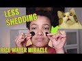 Rice Water for HAIR GROWTH results | Secret For LESS Shedding | Part. 3