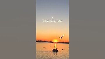 أواخر سورة البقرة بصوت جميل