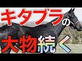 【豪快に】またもキタサンブラックから大物誕生！サンデー系の主流になるかも？