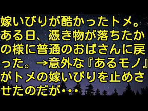 【スカッとする話】嫁いびりが酷かったトメ。ある日、憑き物が落ちたかの様に普通のおばさんに戻った。→意外な『あるモノ』がトメの嫁いびりを止めさせたのだが…　スカッとしようぜチャンネル