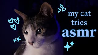 my cat tries ASMR!! 25 minutes of cat purring, crunching, scratching + petting fur sounds + more)