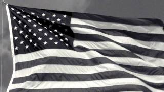 A Postwar Icon: Jasper Johns's 'Flag'