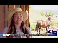 ‘Safe for life’: Utah woman rescues abused horses, works to create sanctuary