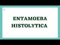 Entamoeba histolytica life cycle | morphology | Laboratory diagnosis | full explained | medzukhruf