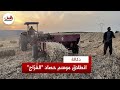 انطلاق موسم حصاد الف ر اج بدكالة موسم استثنائي يبش ر بالخير رغم ارتفاع التكاليف