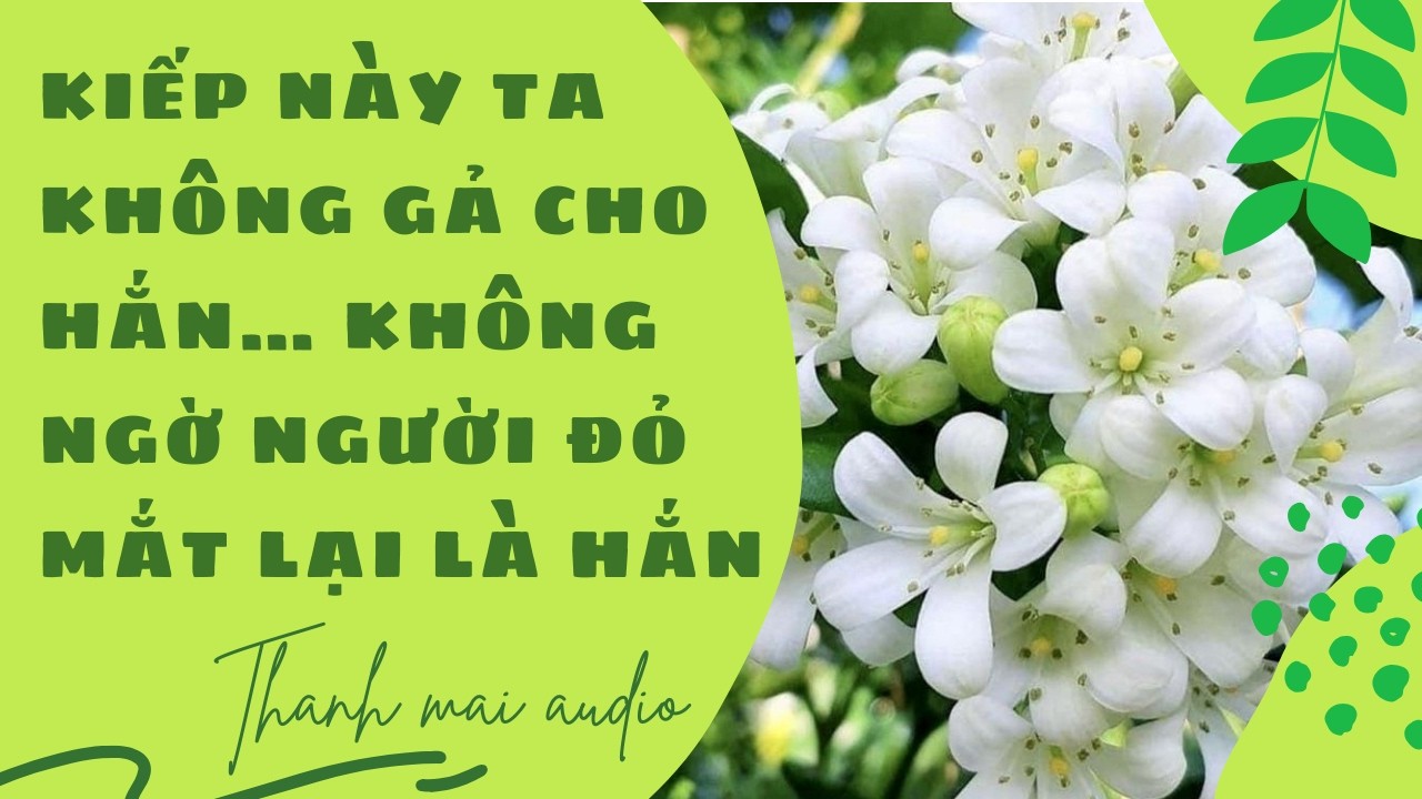 [Trọng Sinh] Kiếp Này Ta Không Gả Cho Hắn… Không Ngờ Người Đỏ Mắt Lại Là Hắn