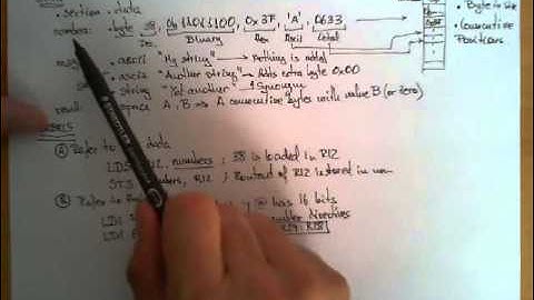 Data, Labels, Stack and Registers in an AVR Assembly Program