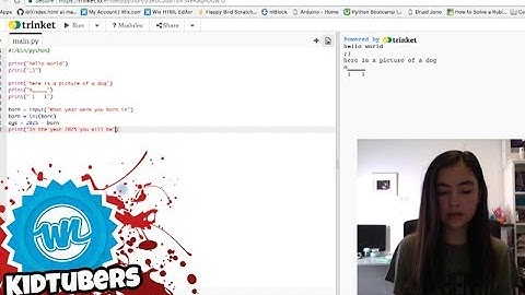 How to Use Python Coding Language! | Amelia Cracks the Code