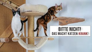 10 Tipps zur Futterumstellung von Trockenfutter zu Nassfutter / Von ungesund zu artgerecht