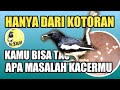 KENALI MASALAH KACER DARI BENTUK KOTORANNYA | DR KACER