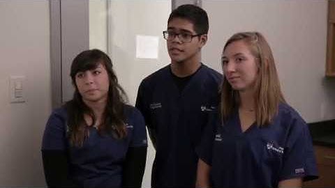 Assessing Metabolic Rate Demonstration