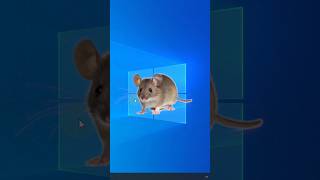 How to Change Your Mouse Speed – Quick and Easy Guide! #TechTips #WindowsTips #techtutorial