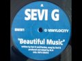 Sevi g  beautiful music elb mix 1