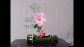 Gumamela Kenzan Ikebana Ft. Music By Cris Garcimo