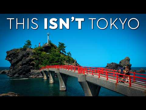 The Travelling Turtles, Nakamise-dori Street