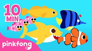 best buddies of baby shark more songs compilation songs for kids pinkfong