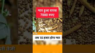 Guar is very popular #guar gwar ka taaja mandi bhav today, dhan ka taaja mandi bhav today screenshot 5