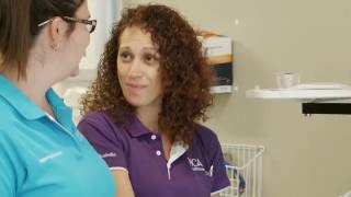 Registered Midwives - Join our team