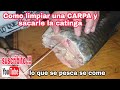 Como limpiar y desgrasar una Carpa "pescado"