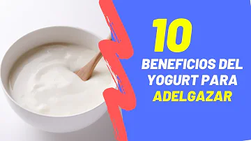 ¿Qué tipo de yogur es bueno para adelgazar?