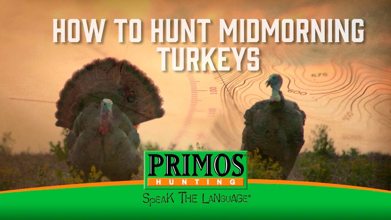 How to Hunt MidMorning Turkeys YouTube