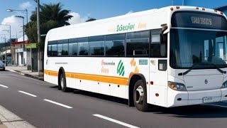 Travel With Bus From Siam Park To Hotel In Tenerife