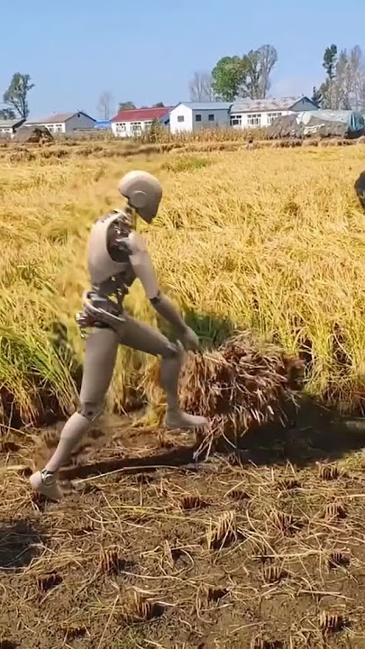 Kerja Sawah Di China Menggunakan Robot