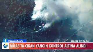 Mi̇lasta Çikan Yangin Kontrol Altina Alindi