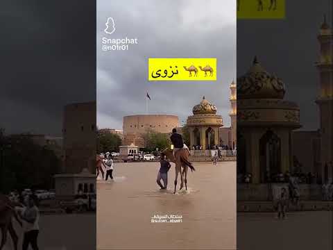 مستغلين المضوع