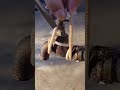 The Clever Way to Open a Water Faucet With A Strap and A Creative Simple Screw