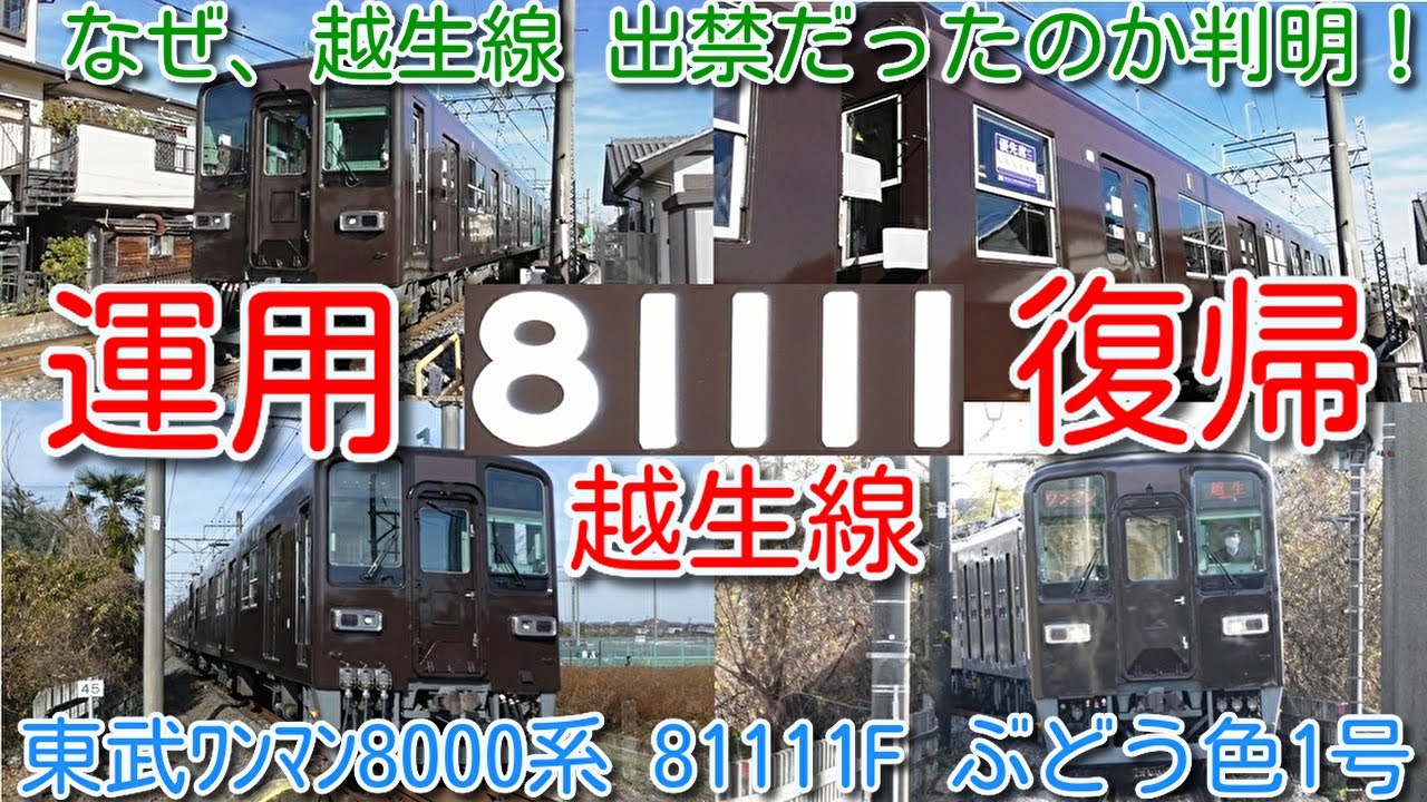 出禁解除！81111F セイジクリーム→ぶどう色1号 塗装色変更後 約半年