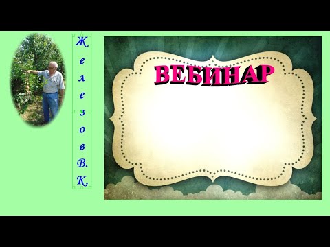 Железов Валерий. Вебинар