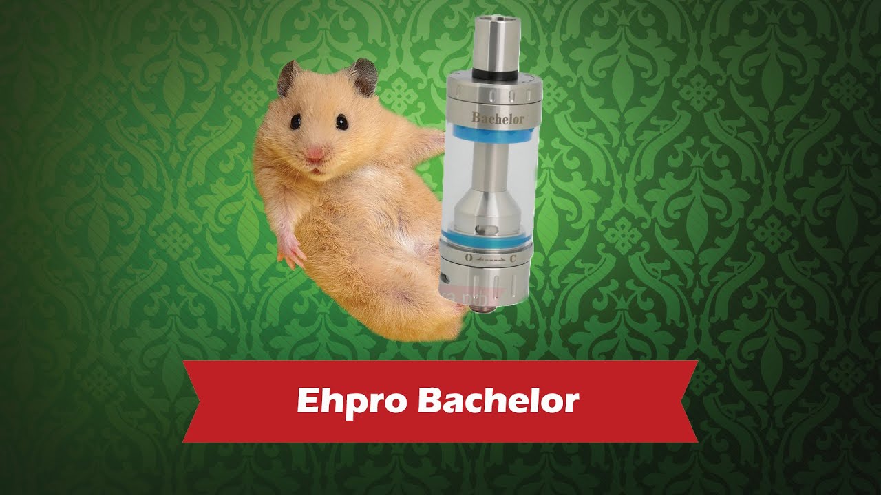 Ehpro Bachelor - обзор от Папироска.рф