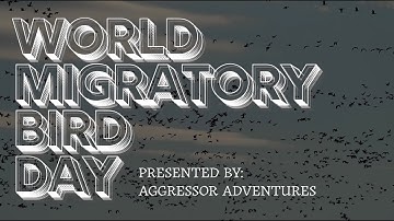 World Migratory Bird Day | Aggressor Adventures | 2025