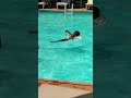 chill guys #cute # viral