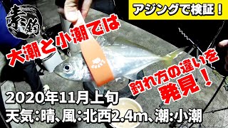 【素釣】小潮でもアジングは可能か検証！【げきちゃんねる】