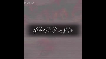 تلاوة سورة النحل |وَأَوْحَىٰ رَبُّكَ إِلَى النَّحْلِ | بصوت القارئ ياسر الدوسري#قران