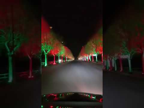 اجمل فيديو في زحله