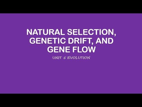 AP Biology: Natural