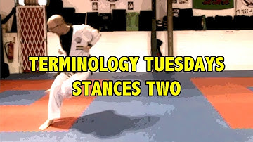 Terminology Tuesdays - Stances Part 2